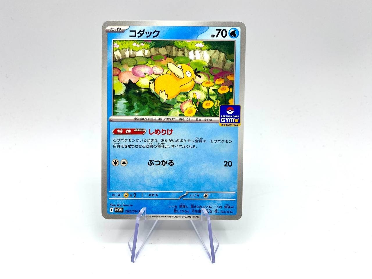 Carta pokemon psyduck 262/sv-p PROMO gym Set scarlatto e violetto Japanese NM