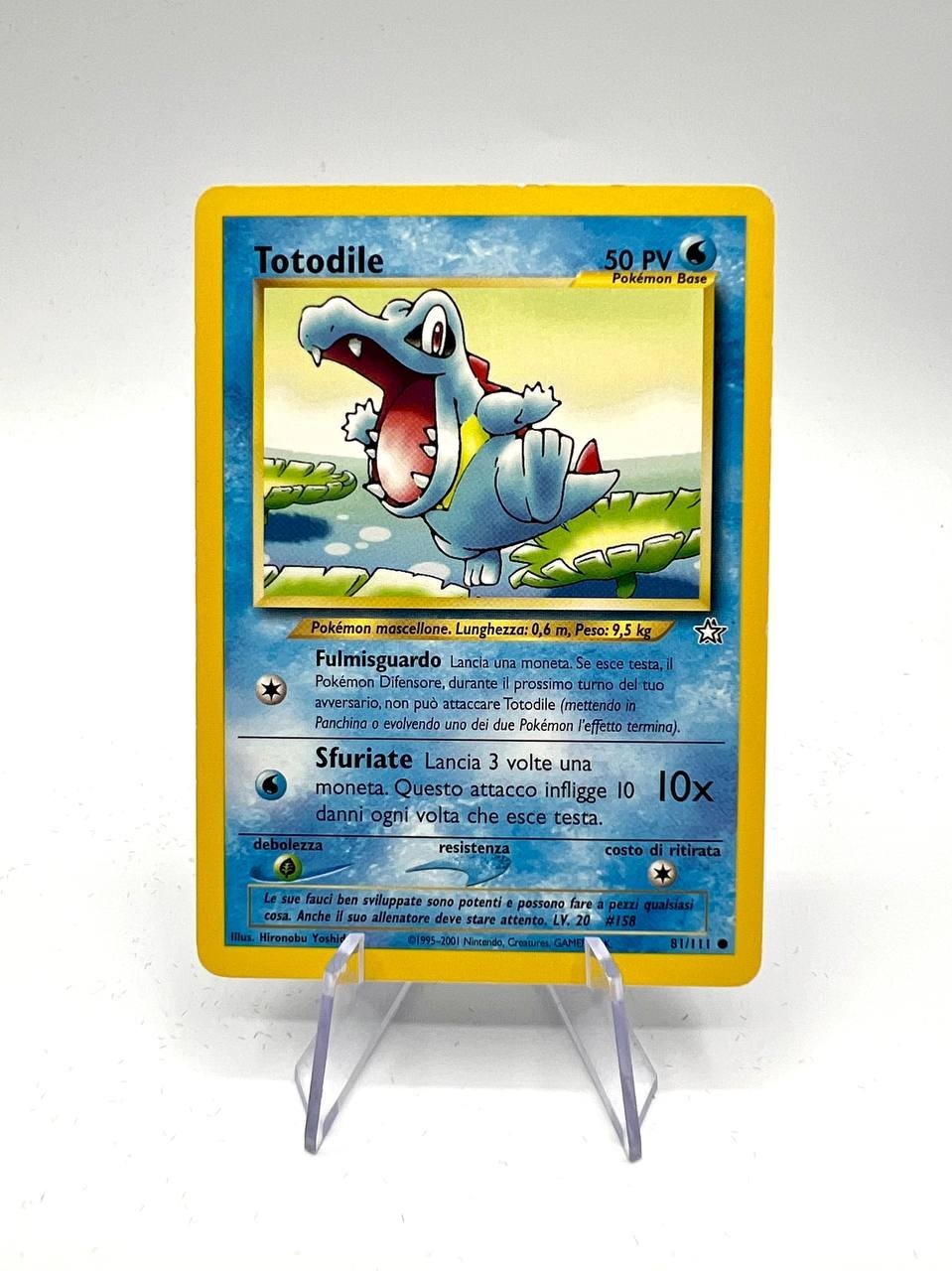 Pokemon Totodile 2001 set Neo Genesis 81/111 italiano no holo condizioni poor
