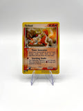 Carta Pokemon set EX Dragon Torkoal 12/97 Italiano Holo Excellent Vintage