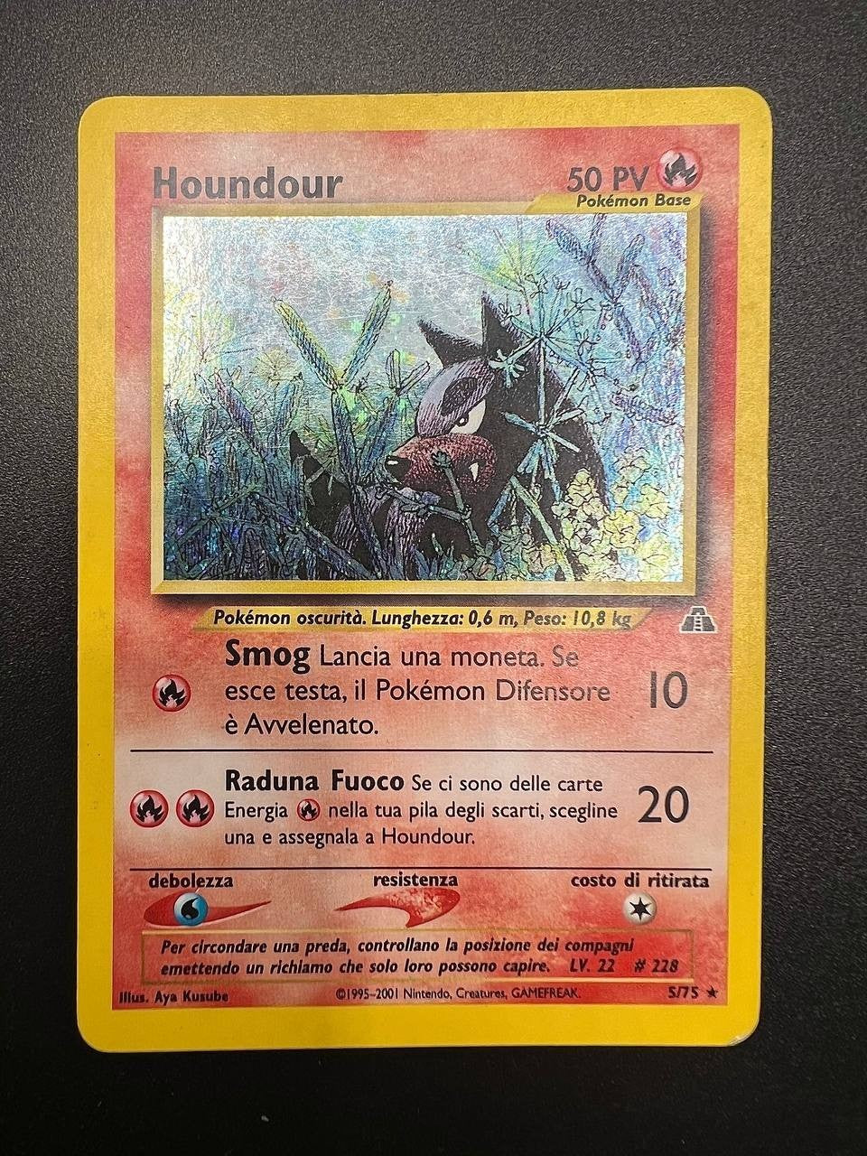 Carta Pokemon Houndour 5/75 set Neo Discovery Holo Vintage Excellent Italiano