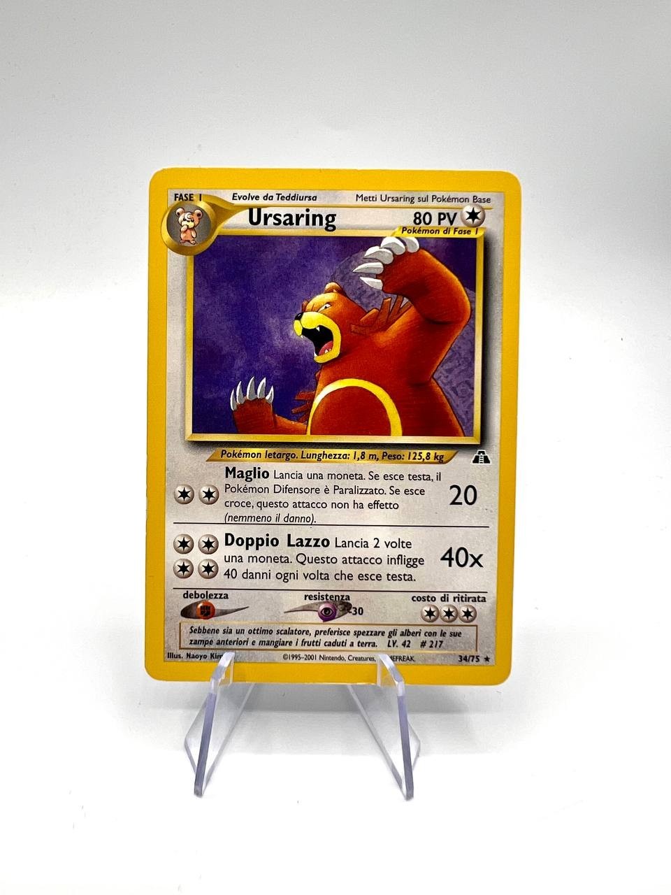 Ursaring 34/75 Pokemon Rara Non Holo set Neo Discovery 2001 Italiano good