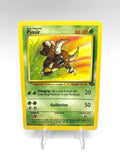 Carta Pokemon Pinsir 25/64 set Jungle Vintage Excellent Inglese ENG