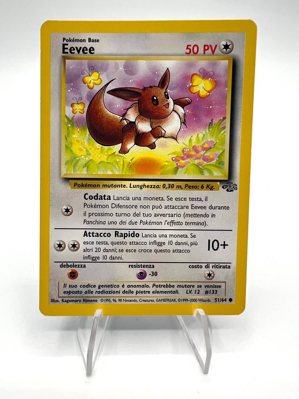 Carta Pokemon EEVEE 51/64 set Jungle JU Vintage Excellent Italiano No holo