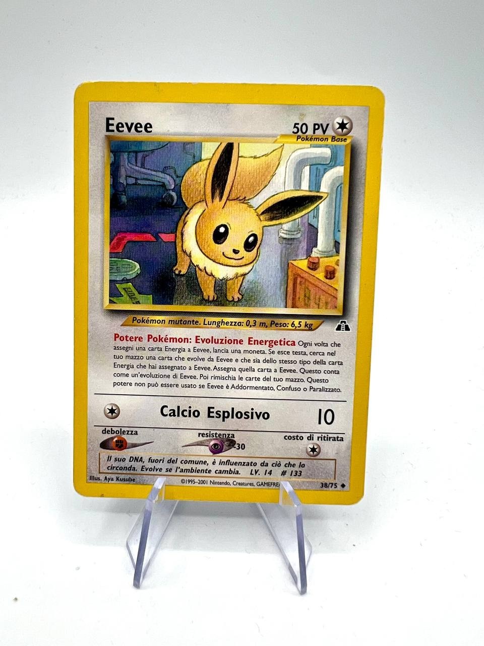 Carta Pokemon Eevee 38/75 set Neo Discovery italiano good no holo Vintage