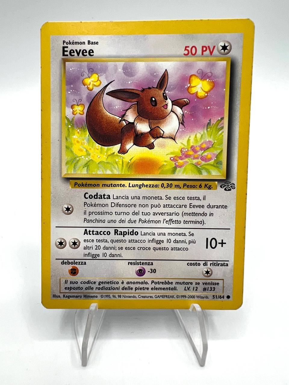 Carta Pokemon EEVEE 51/64 set Jungle JU Vintage Excellent Italiano No holo