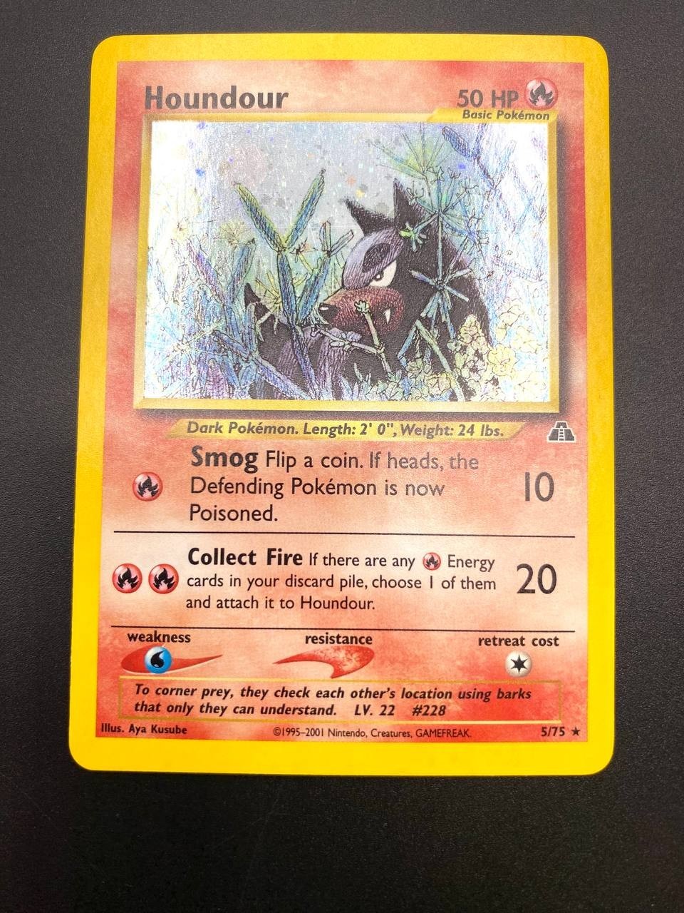 Carta Pokemon Houndour 5/75 set Neo Discovery Holo Vintage Near mint ENG