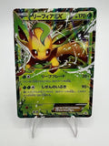 Carta pokemon Leafeon EX 192 XY-P Promo set Battle Strength Japanese NM Holo