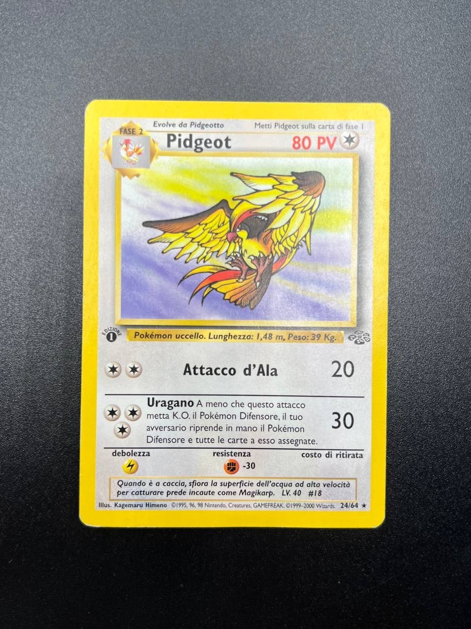 Pokemon Pidgeot Jungle 24/64 Non Holo Italiano Italiano good+ prima edizione