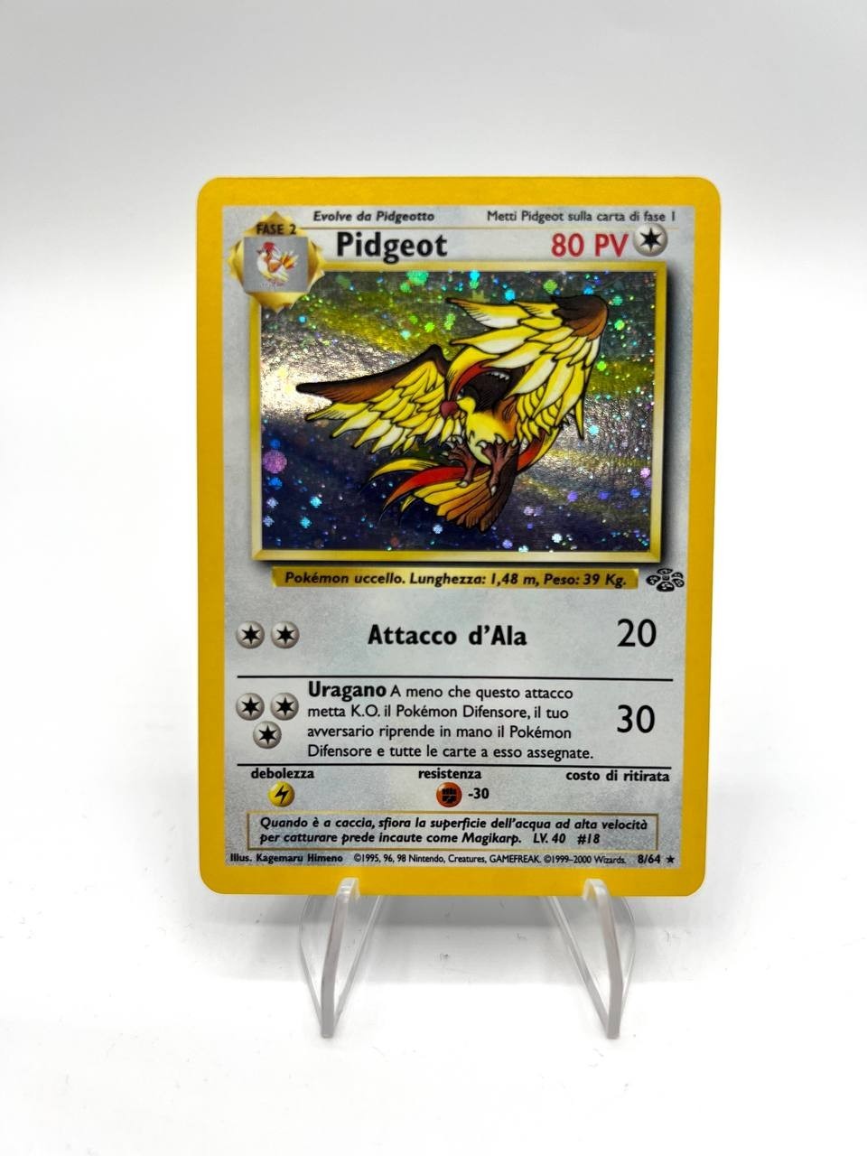 Carta Pokemon Pidgeot 8/64 set Jungle Vintage Holo Played Italiano