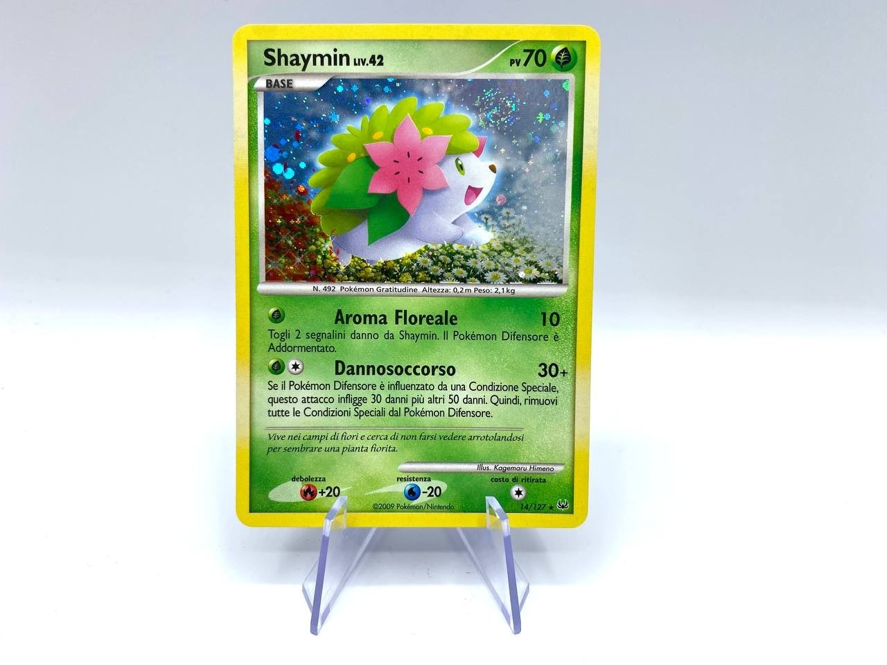 Carta Pokemon Shaymin liv.42 14/127 HOLO set PLATINO ITALIANO Near mint