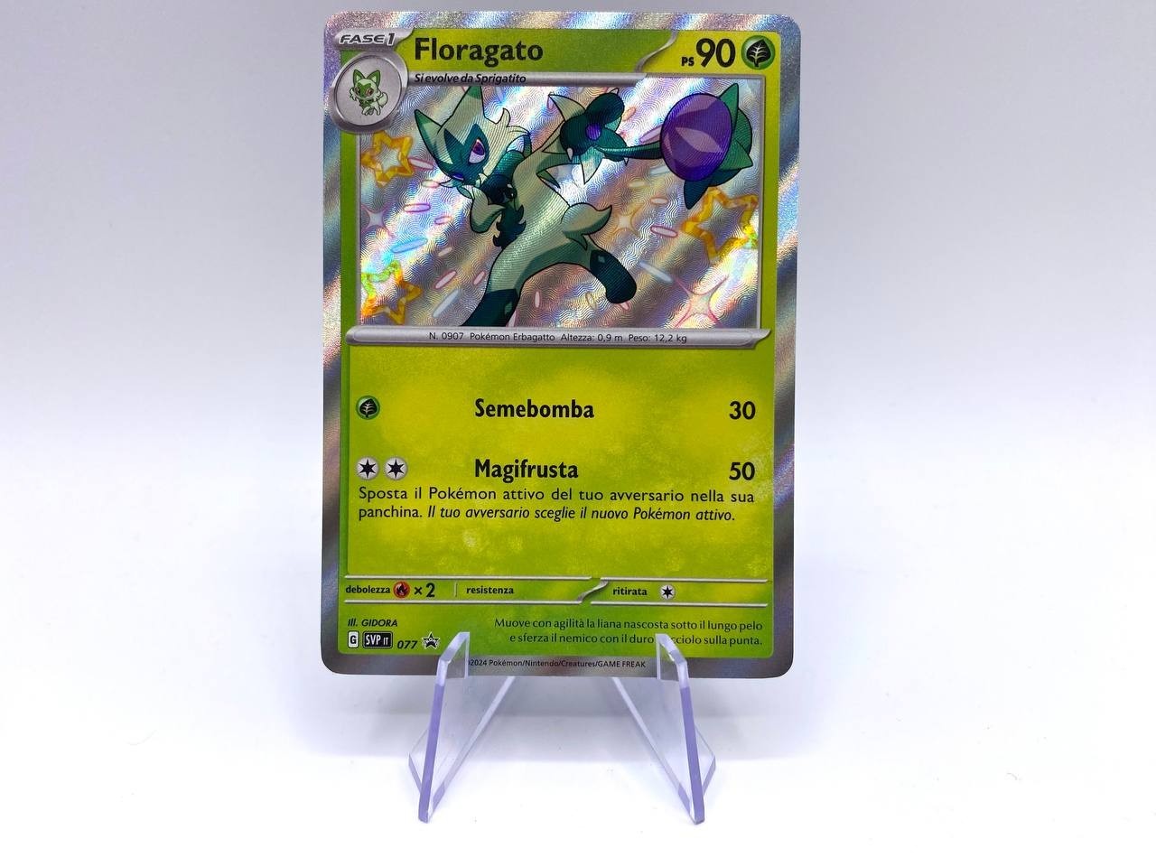 Carta pokemon Floragato 077 Black Star Promo Baby Shiny SVP077 Near mint ITA