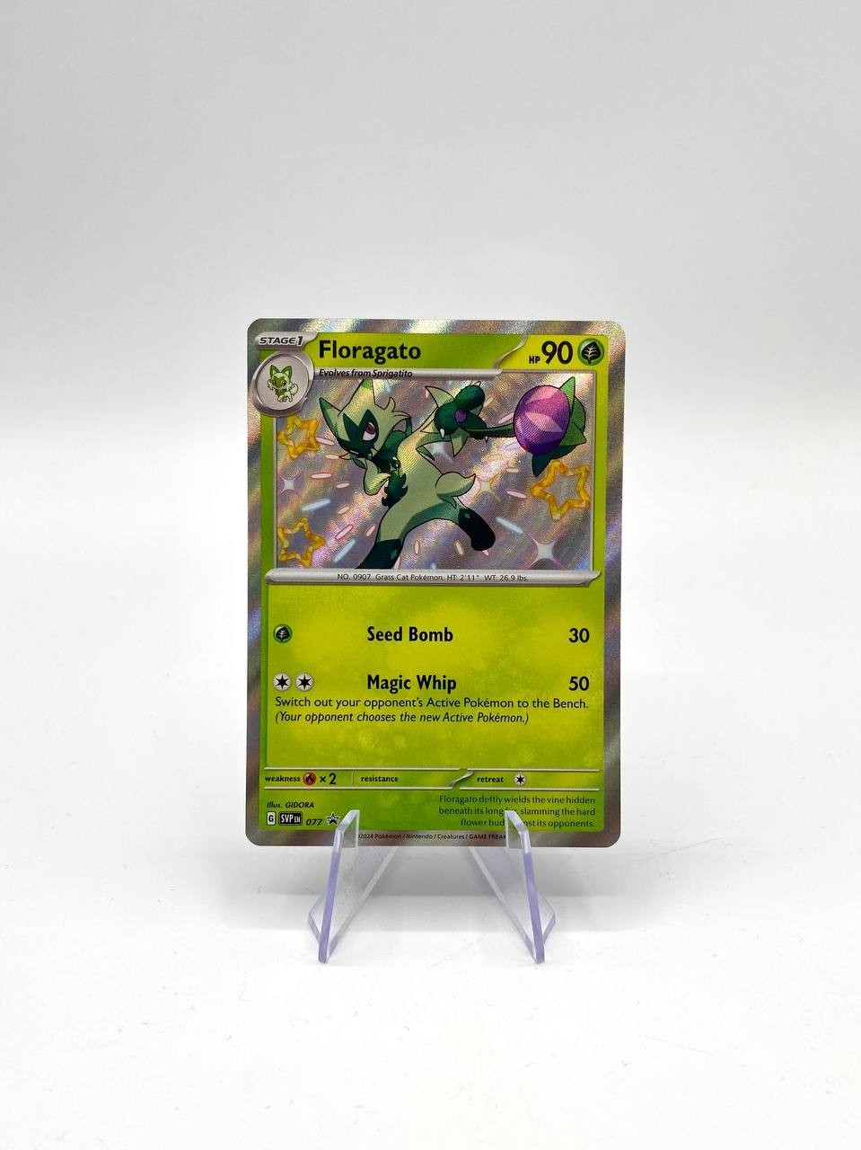 Carta pokemon Floragato 077 Black Star Promo Baby Shiny SVP 077 Near mint ITA