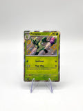 Carta pokemon Floragato 077 Black Star Promo Baby Shiny SVP 077 Near mint ITA