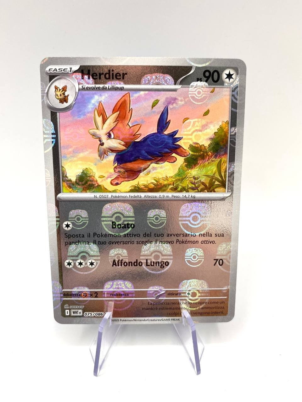 Carta Pokémon Herdier Fuoco bianco WHT it 075/086 Masterball Near Mint Italiano