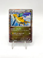 Carta pokemon Dragonite BW8 040/051 set Thunder Knuckle R Good Holo Japanese