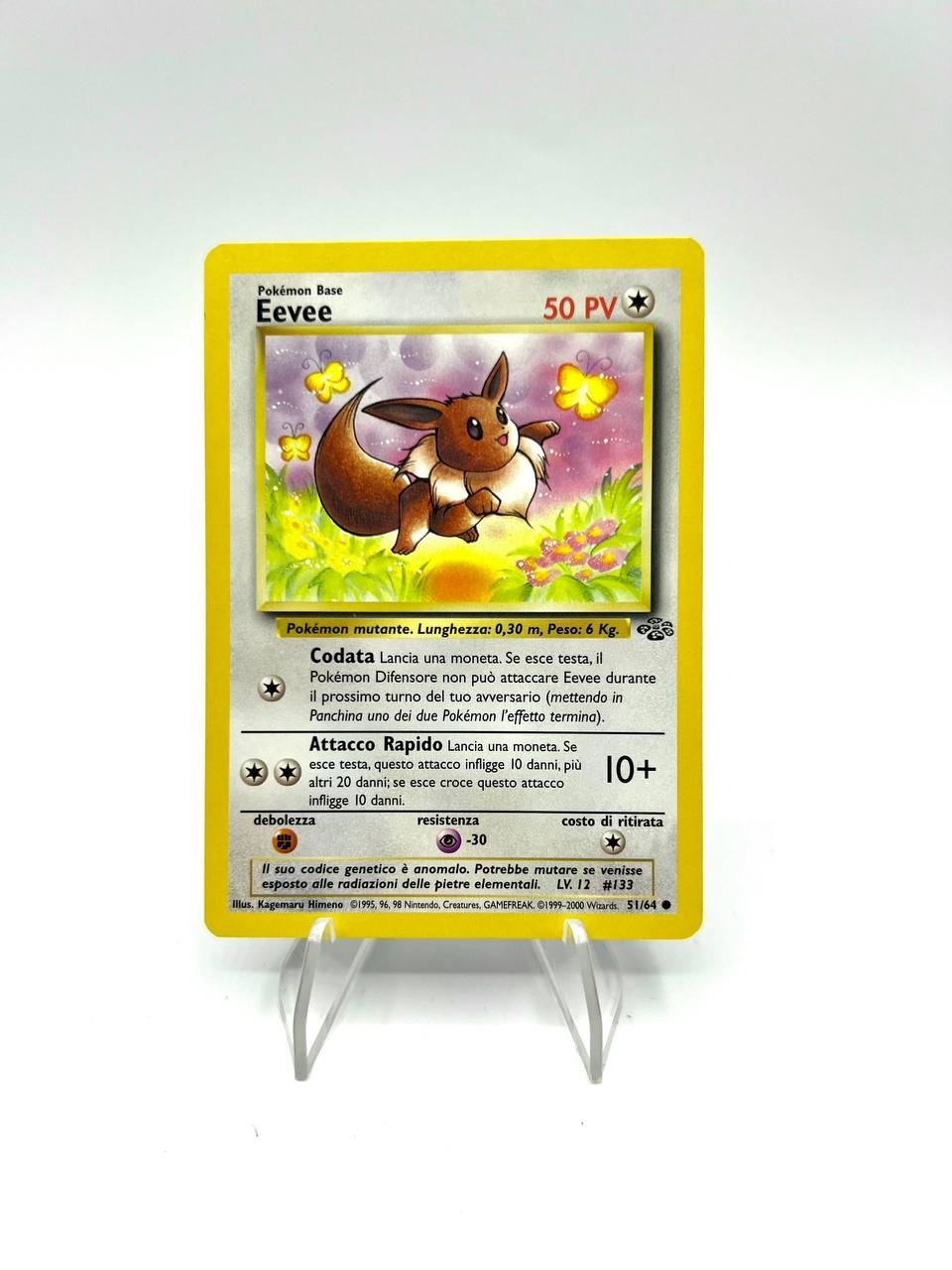 Carta Pokemon EEVEE 51/64 set Jungle JU Vintage Excellent Italiano No holo
