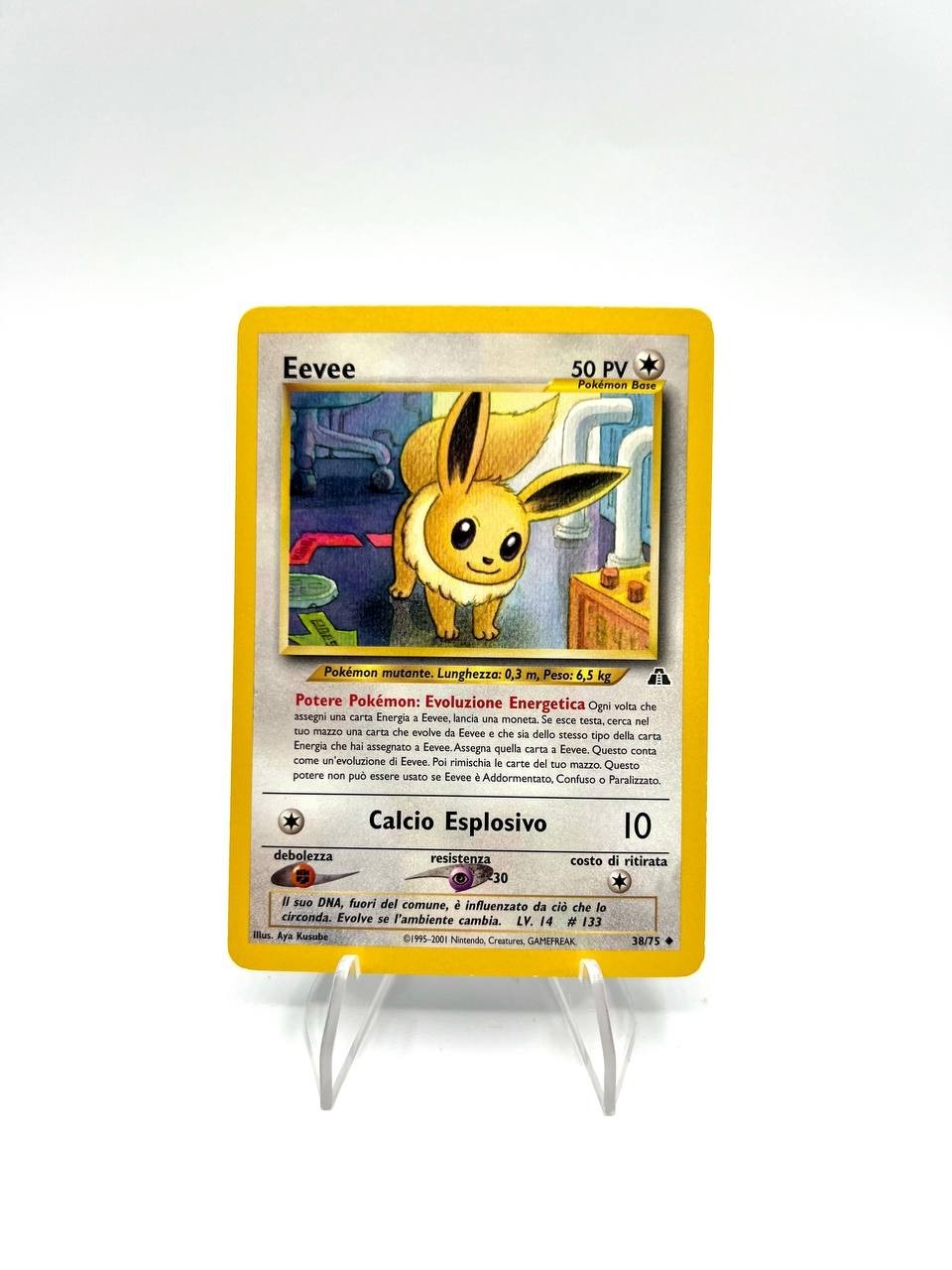 Carta pokemon Eevee 38/75 set Neo Discovery Italiano Good No holo Vintage
