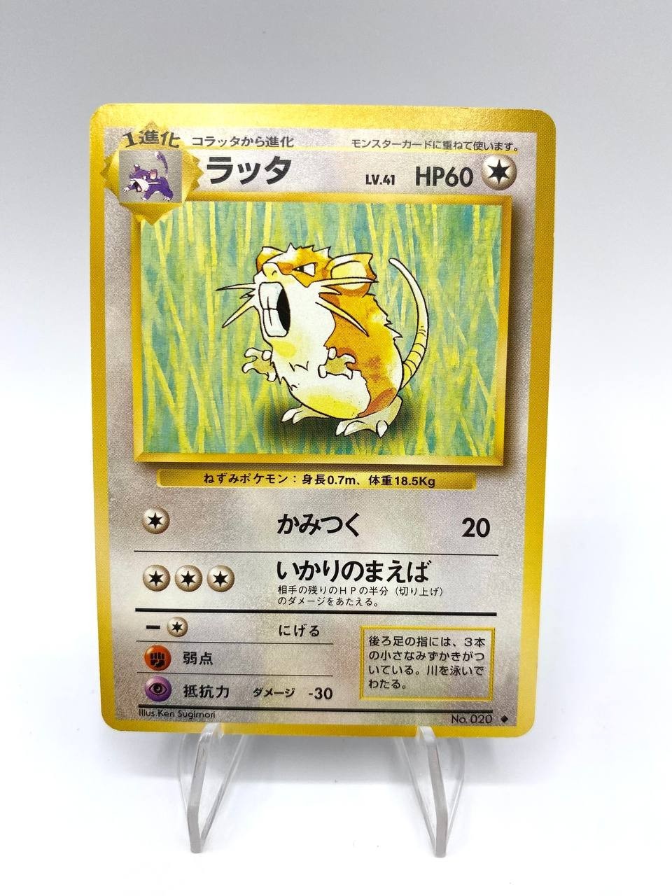 Carta Pokemon Raticate No. 020 Base Set Japanese 196 Vintage Near Mint