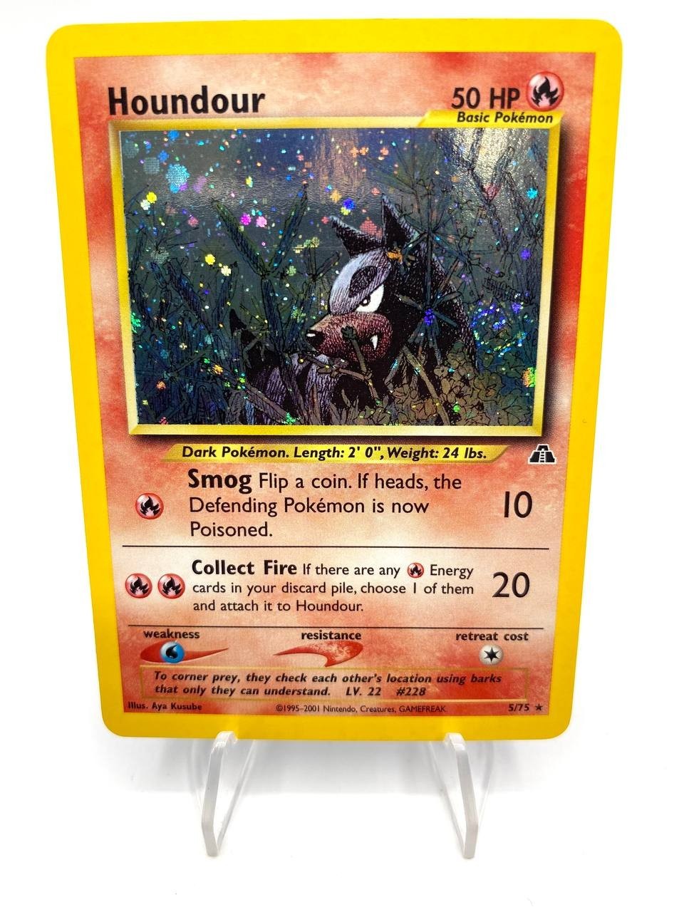 Carta Pokemon Houndour 5/75 set Neo Discovery Holo Vintage Near mint ENG