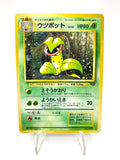Carta Pokemon Victreebel No.071 Holo set Jungle 1997 Japanese Vintage Excellent