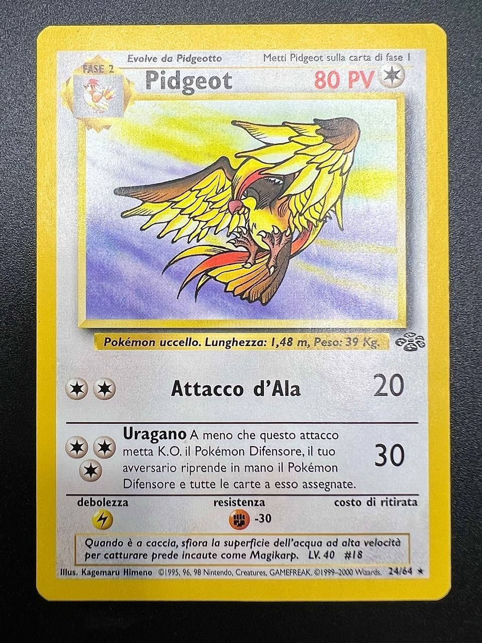 Carta Pokemon Pidgeot Jungle JU 24/64 No Holo Italiano Vintage Excellent