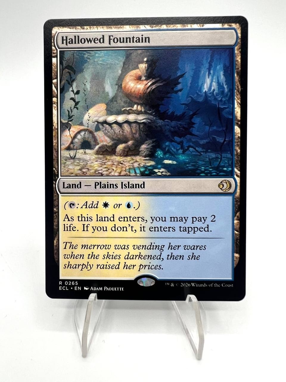Carta Magic MTG Hallowed Fountain ECL Lorwyn Eclipsed 0265 Near mint Inglese