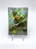 Carta pokemon Chespin 087/086 CRI full art Caos Nascente Italiano Near Mint Holo