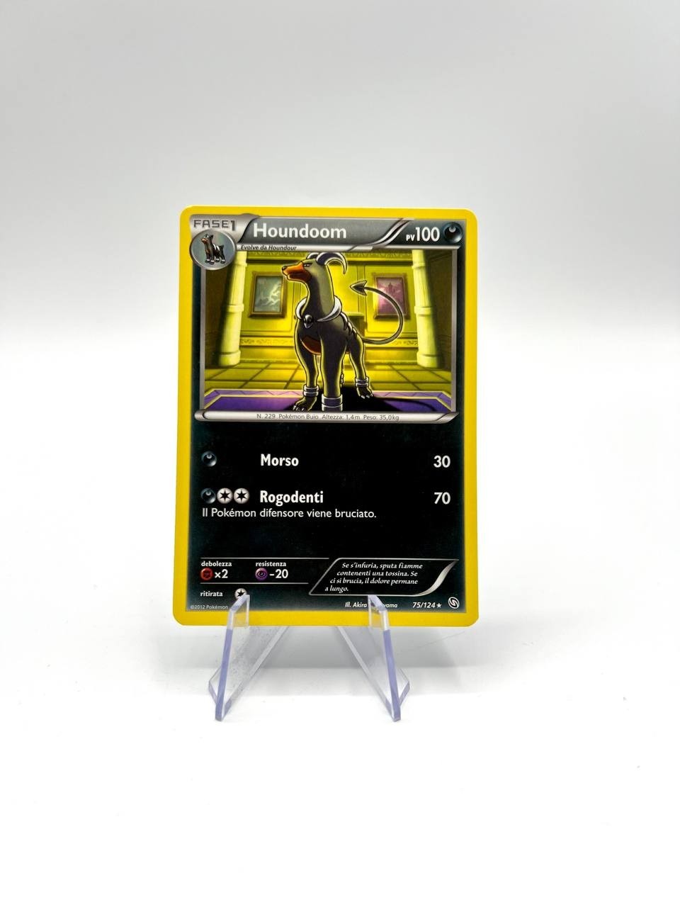 Carta pokemon Houndoom 75/124 Stirpe dei sraghi Italiano Good Italiano no holo