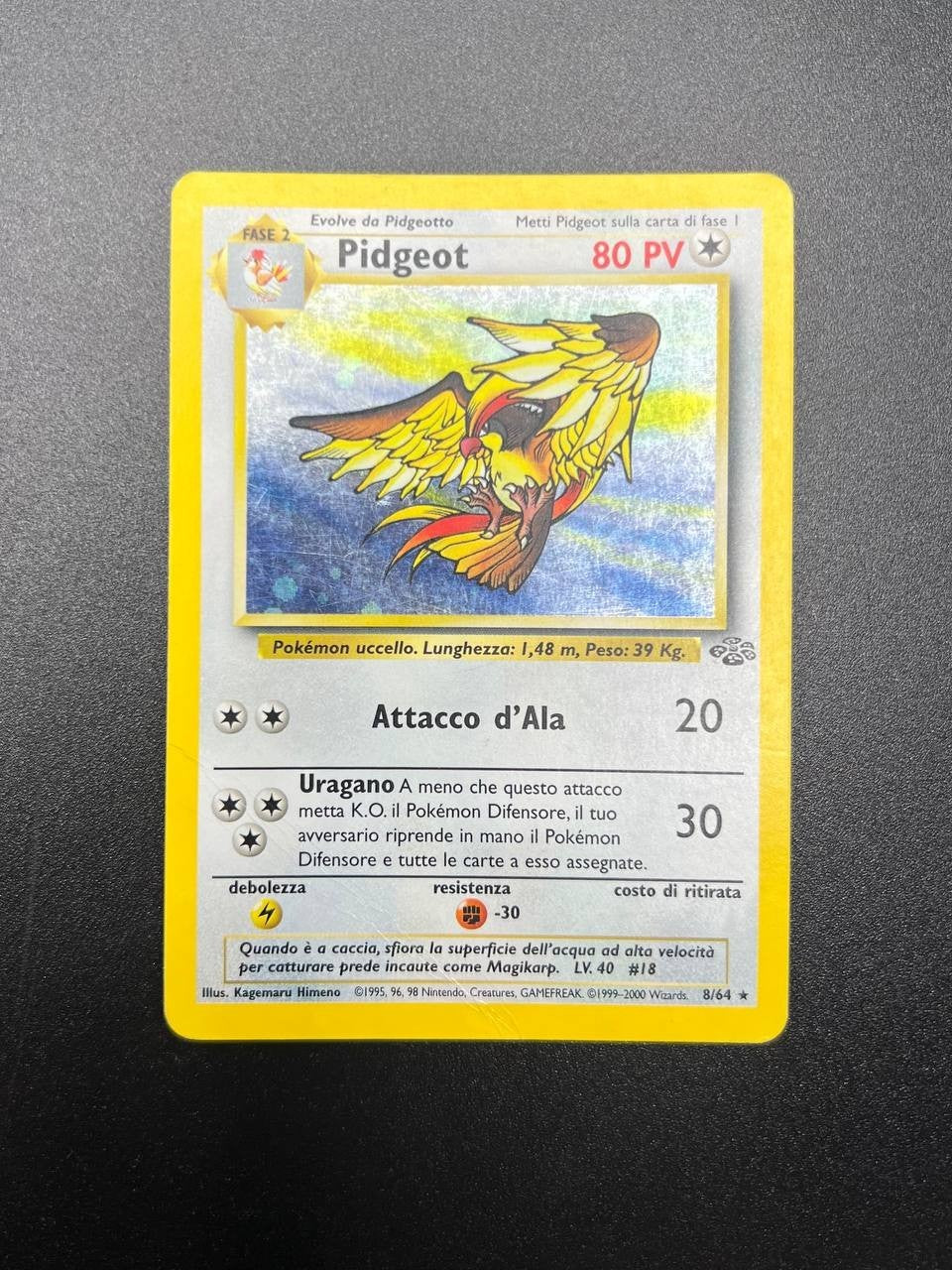 Pokemon Pidgeot 8/64 Jungle Rara Holo Unlimited Wizards ITA Carte Vintage poor