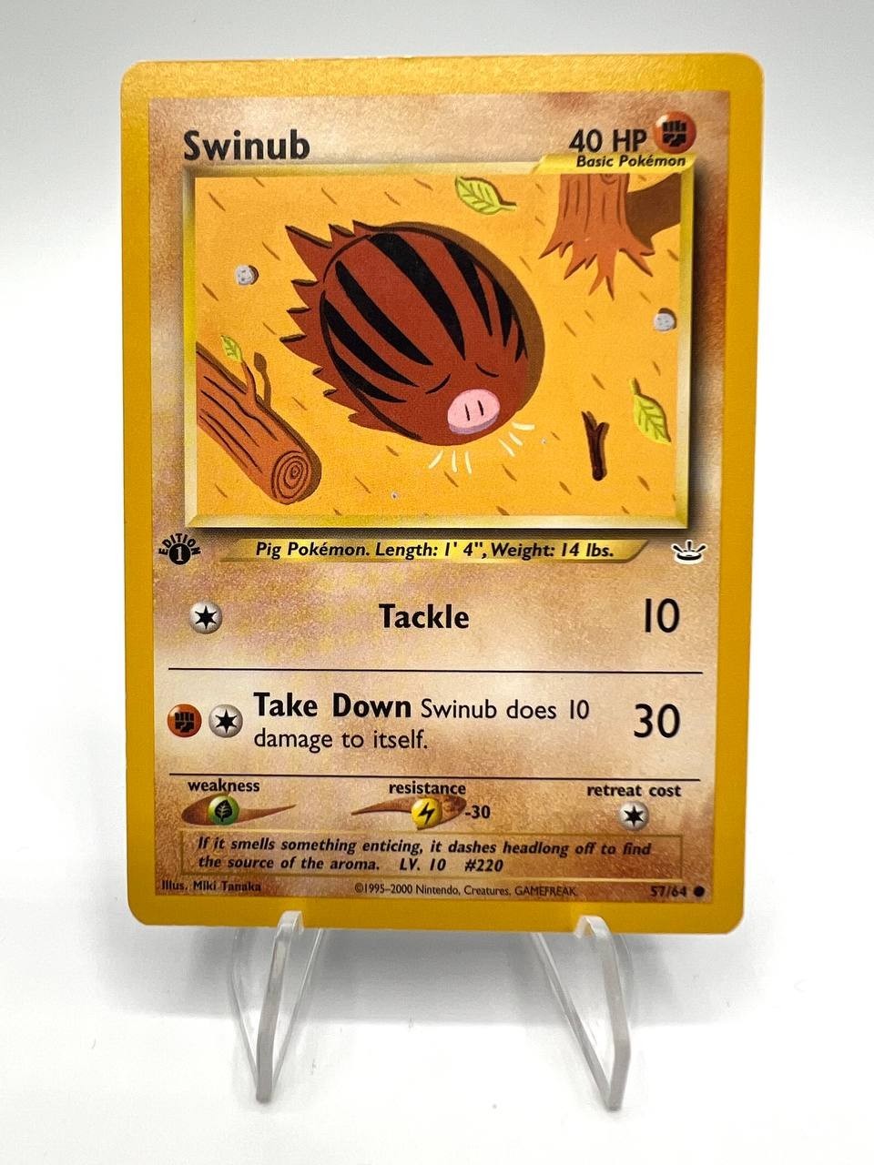 Carta pokemon Swinub set Neo Revelation 57/64 Excellent Vintage 1a Edizione ENG